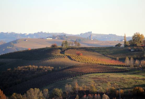 Langhe